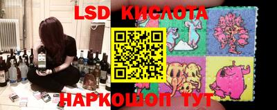 стафф Новозыбков
