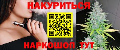 стафф Новозыбков