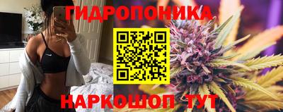 стафф Новозыбков